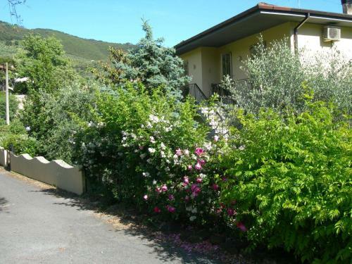 Agroturismo Gli Olivi