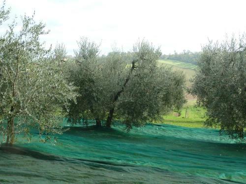 Agroturismo La Fortezza Alta