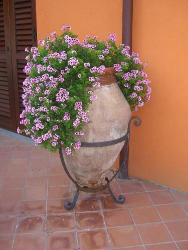 Bed & Breakfast Il Casale Dei Conti
