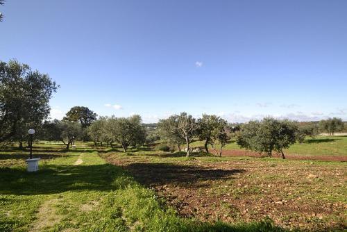 Cisternino Villa Sleeps 2 Pool Air Con Wifi