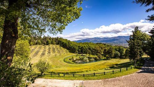 Villa Podere La Specola 18