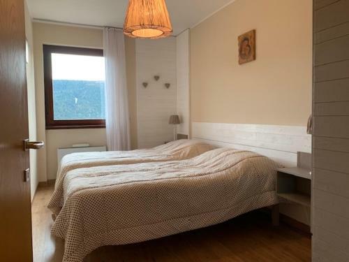 Trentino Apartments - Casa Lares