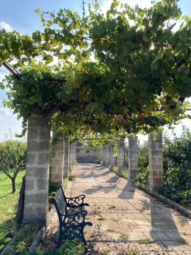 Bed & Breakfast Casale Zenith