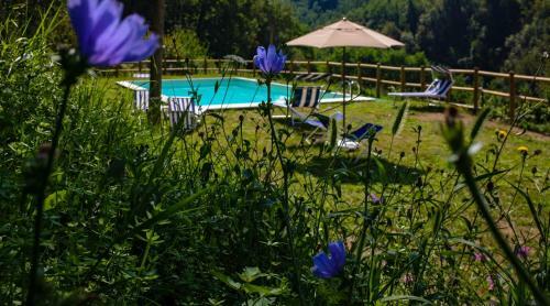 Casa Vacanze In Garfagnana