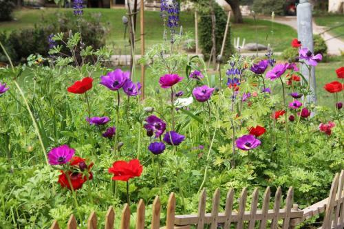 Apartamento Kibutz Tiratzvi - Country Lodging