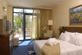 Hotel Rimonim Central Park