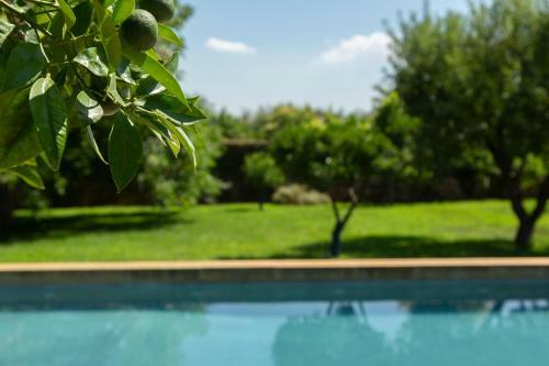 Bed & Breakfast Masseria Borgo Mortella