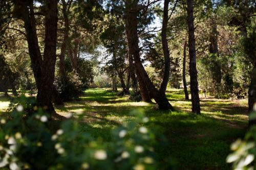 Bed & Breakfast Masseria Borgo Mortella