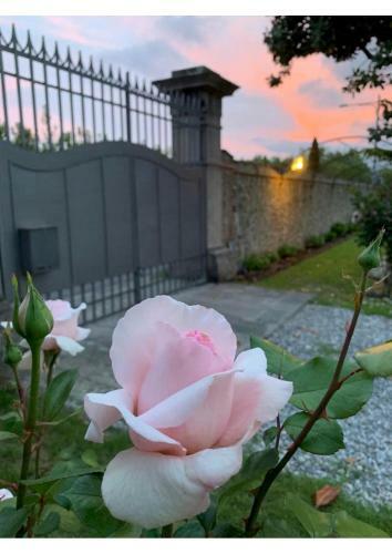 Bed & Breakfast Villa La Preziosa