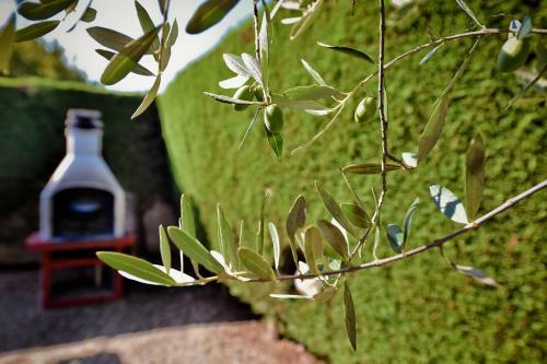 I Cinque Trulli With Swimming Pool