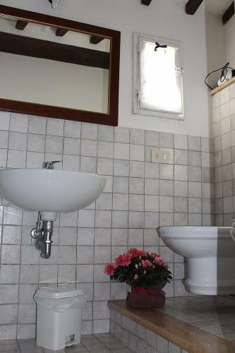 Colle Di Val D'elsa Villa Sleeps 6 Pool