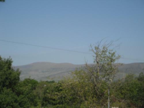 Castlemaine House B&B