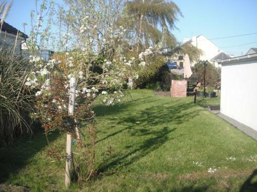 Castlemaine House B&B