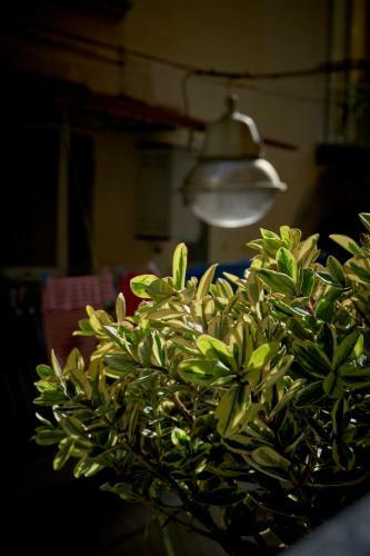 Bed & Breakfast A Casa Del Principe