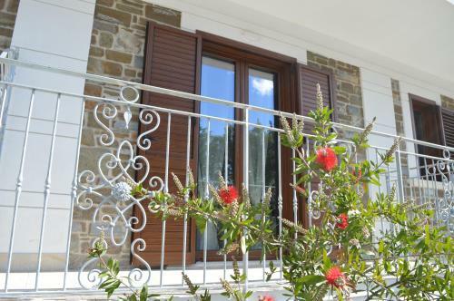 Hostal Sotto Il Cielo Del Cilento