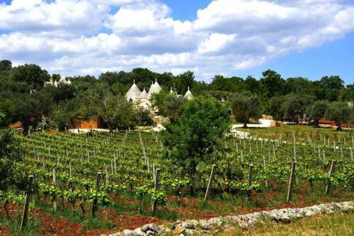 Country House Ostuni - Iap02103i-f