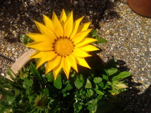 Bed & Breakfast Rosslare Strand Rooms Only Accommodation