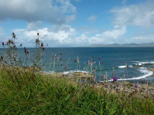 Maol Reidh Hotel