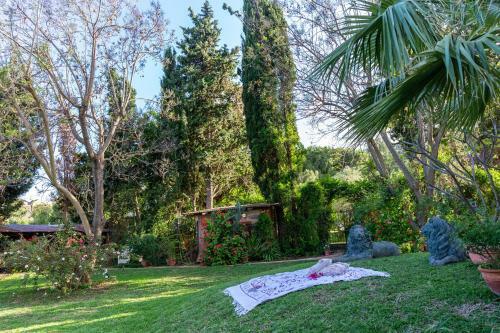 Villa Domus Sicily - Il Giardino Di Michela