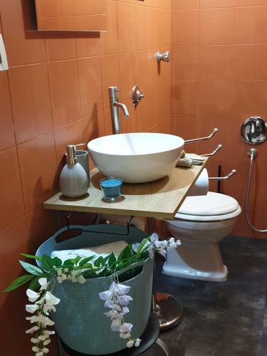 Libert� 90144 Apartment