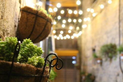 Apartamento Maravigghia Palermo