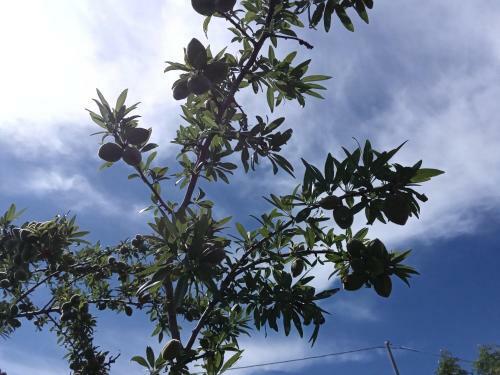 Bed & Breakfast Week End Sul Lago