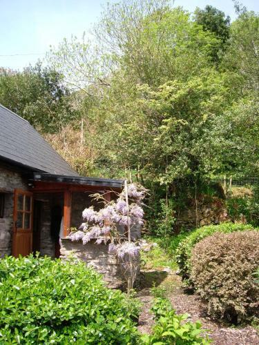 Stepping Stone Bed And Breakfast