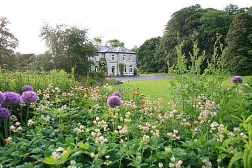 Bed & Breakfast Mornington House