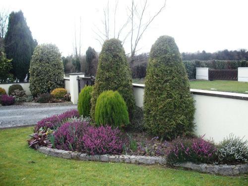 Maryville Bed And Breakfast