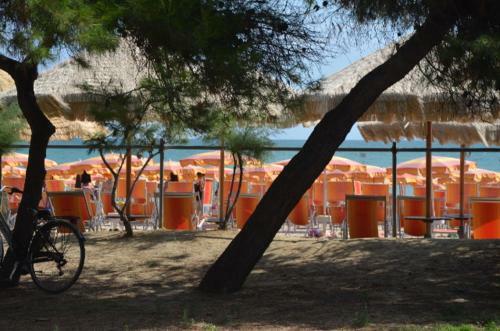 Apartamento Perla Plus Pineto Vacanza
