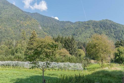 Apartamento Appartamento Adamello 11