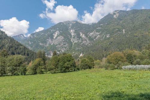 Apartamento Appartamento Adamello 12