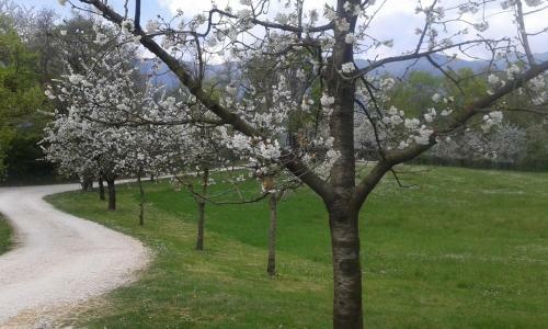 Albergue Parco Di San Floriano