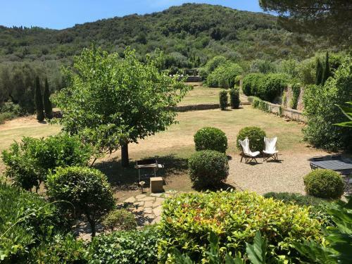 Villa L'uliveto