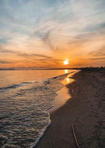 Apartamento Poetto Quartu