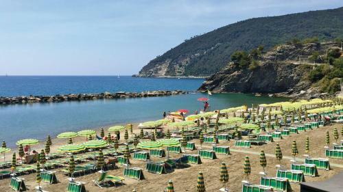 Entire Villa With Pool In Recco Cinque Terre