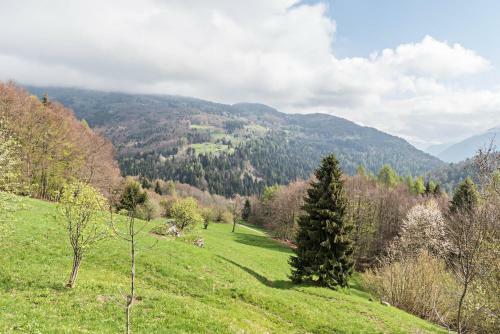 Baita Rustica Immersa Nel Verde