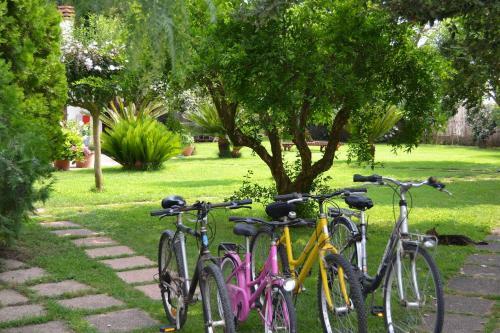 Agroturismo Agriturismo Marila?