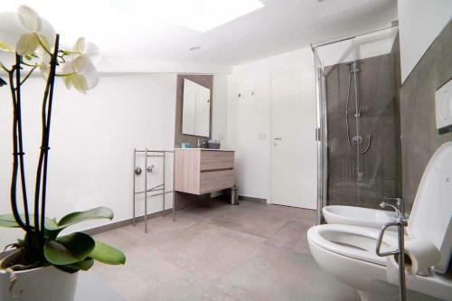 Bed & Breakfast B & B Luci Di Stelle