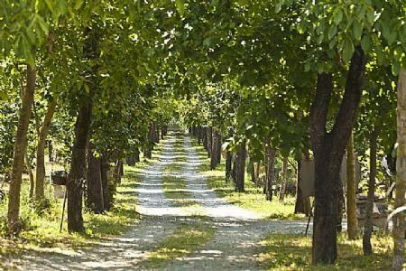 San Cipriano Picentino Villa Sleeps 5 Pool Air Con