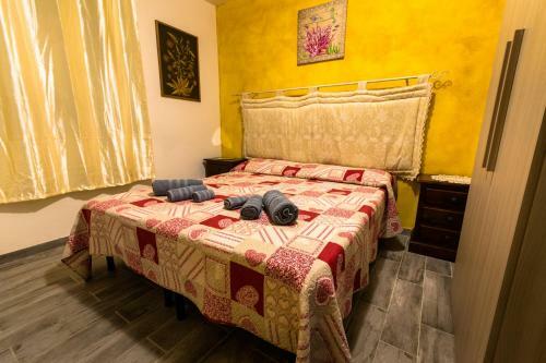 Hostal Affittacamere L ' Oasi Di Gino