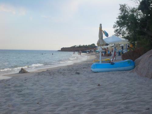 Villa Jungle House - Pineta Is Morus
