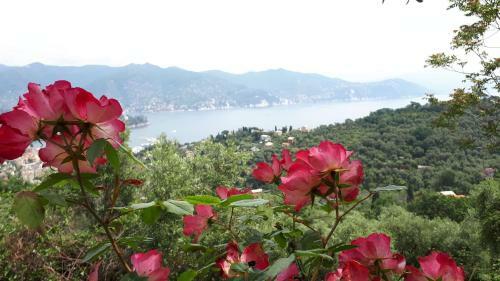 Terrace And Garden Santa Margherita - Ap2b