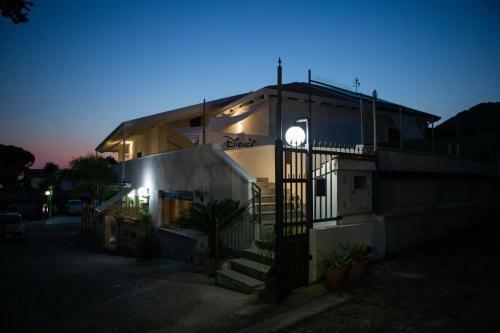 B&B Dionea