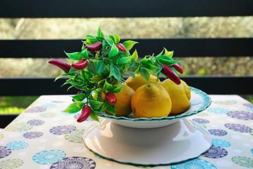 Apartamento Oasi Degli Ulivi - Bilo Standard