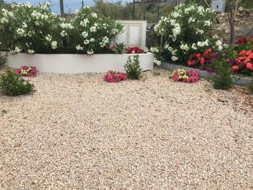 Apartamento Villa Nina2013