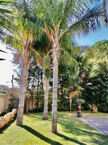 Bed & Breakfast Villa & Mare