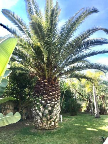 Bed & Breakfast Villa & Mare
