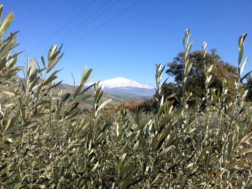 Agroturismo Le Querce Di Cota