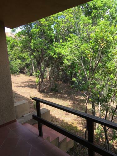 Apartamento Il Boschetto Dei Corbezzoli Villetta 2